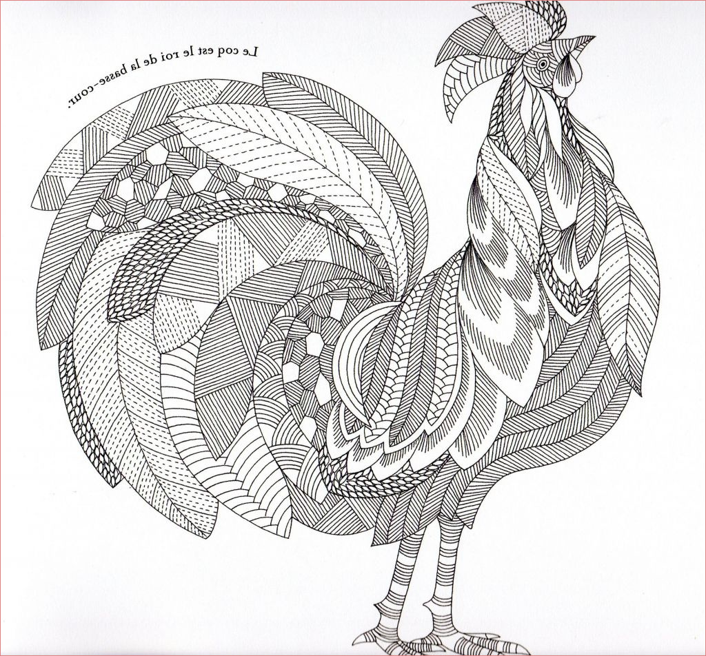 coloriage animaux fantastiques beau photos animaux fantastiques rooster abstract doodle zentangle
