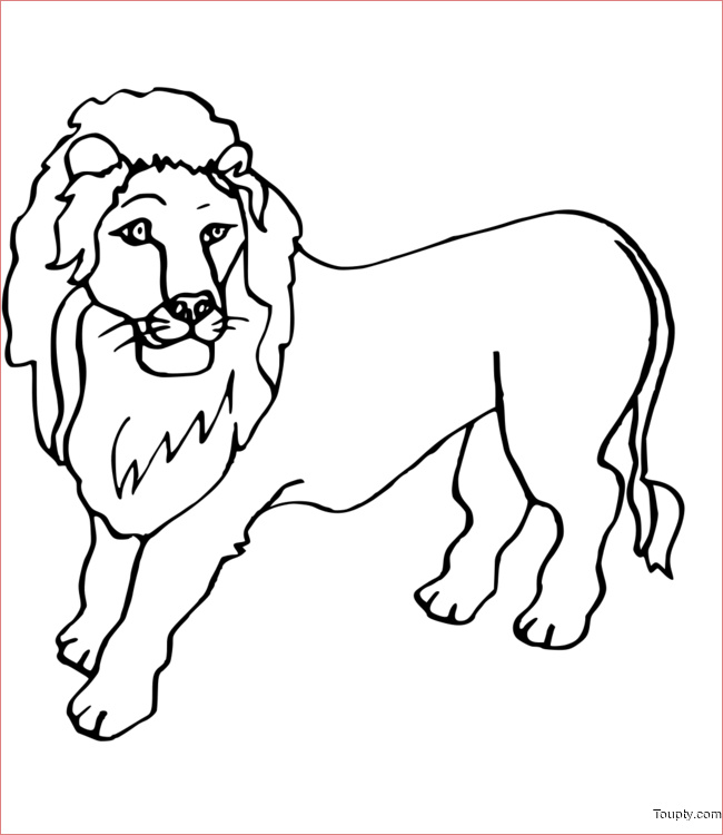 coloriage lion num=16