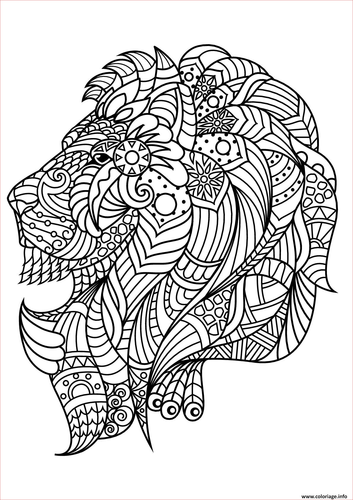 lion adulte zentangle anti stress coloriage