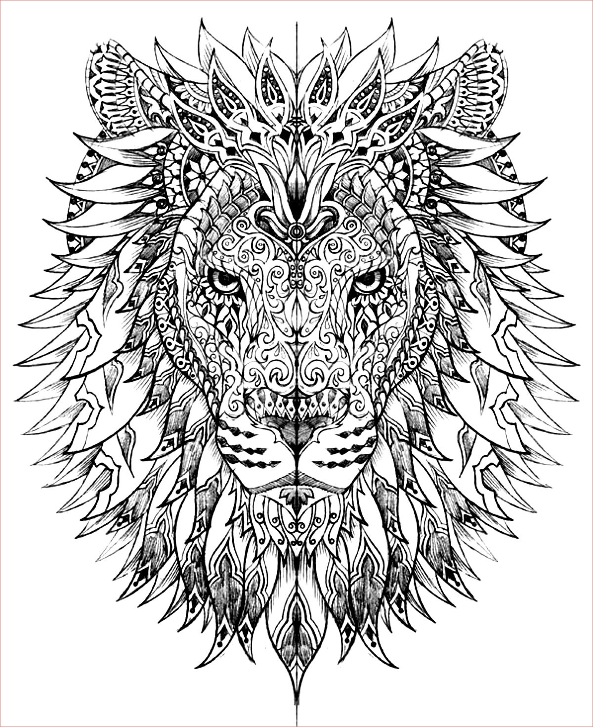 image=animaux coloriage adulte difficile tete lion 1