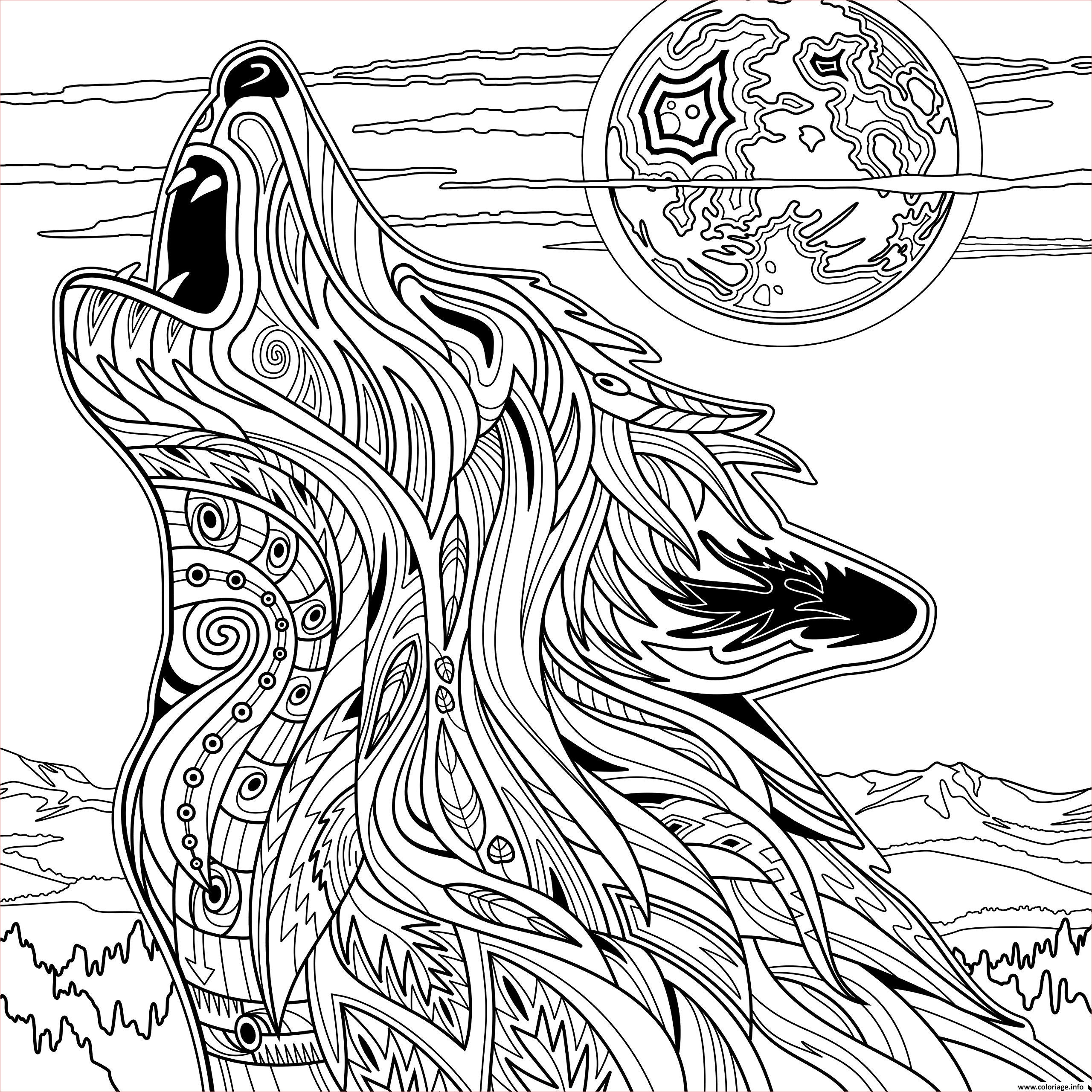 adulte loup animaux yellowstone national park coloriage