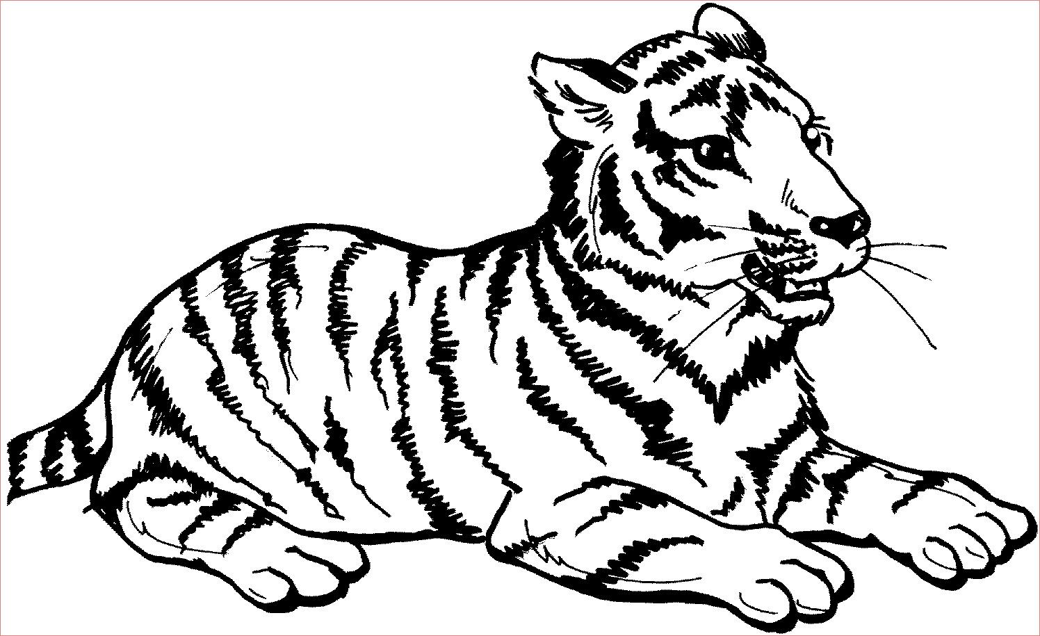 unique coloriage bebe tigre imprimer