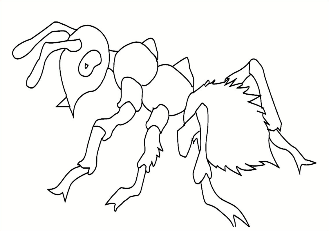 dessin a colorier fourmi a imprimer