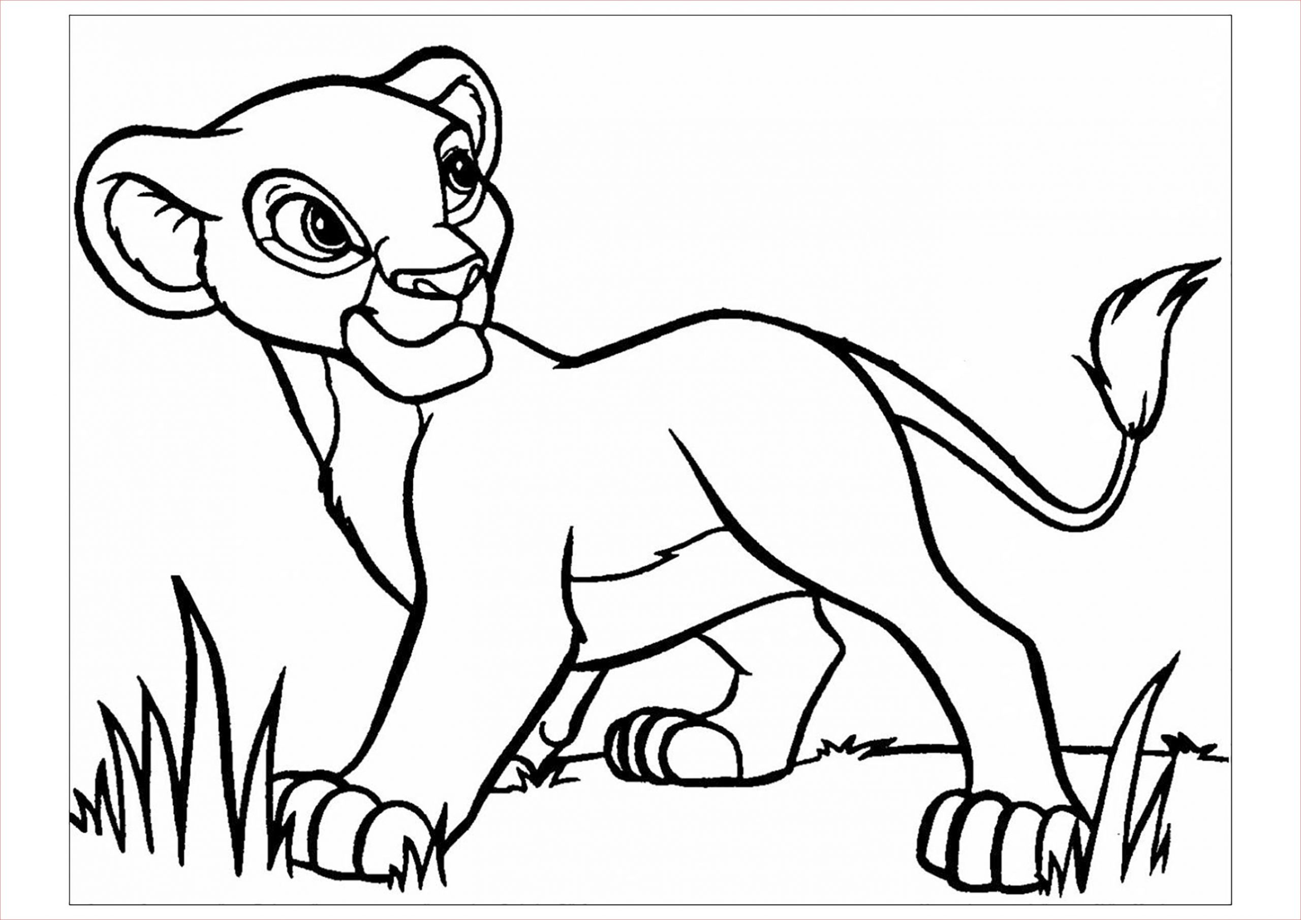 coloriage le roi lion