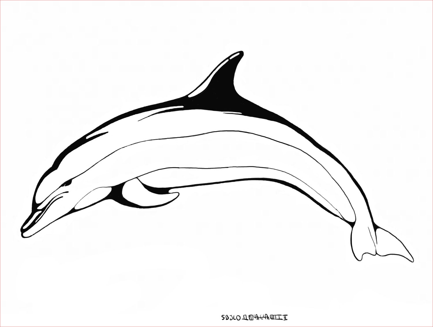 10 coloriage oum le dauphin blanc