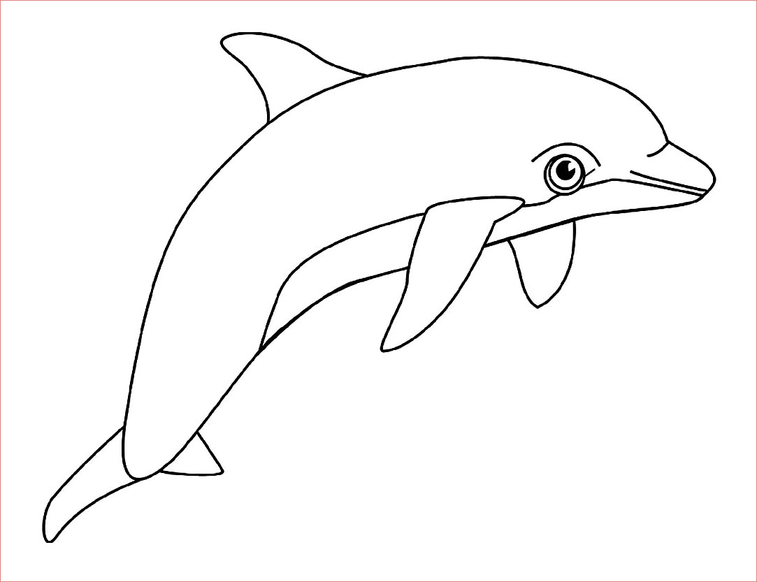 coloriage bebe dauphin a imprimer