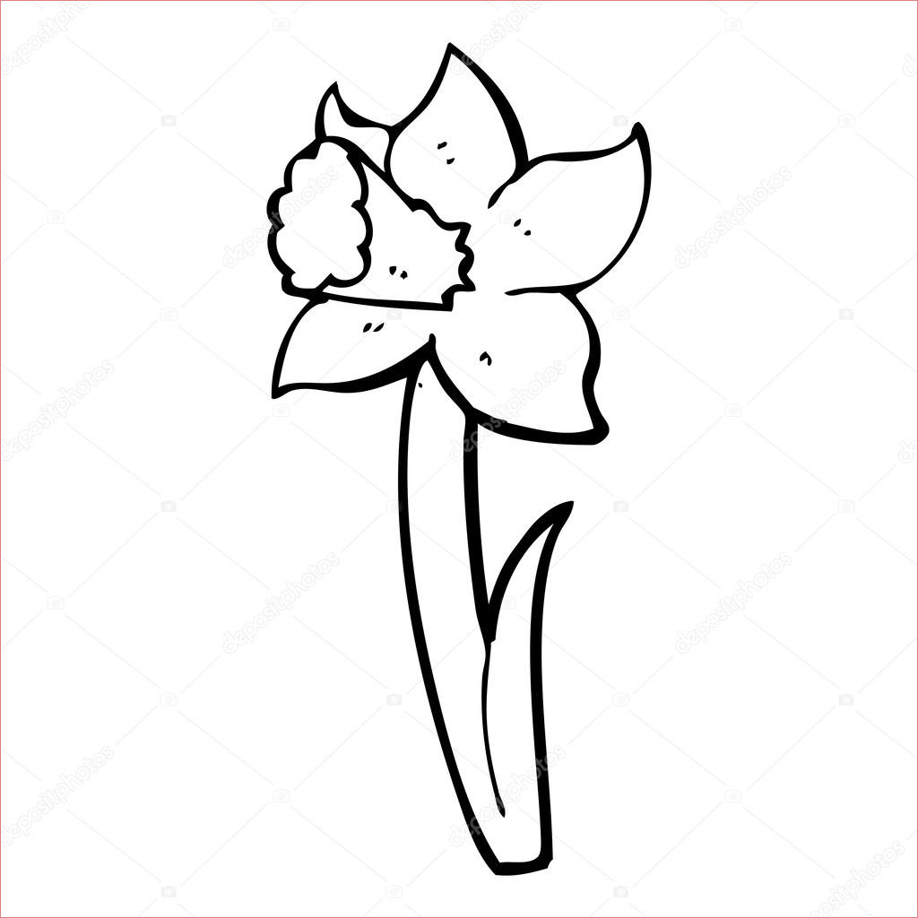 dessin jonquille fleur