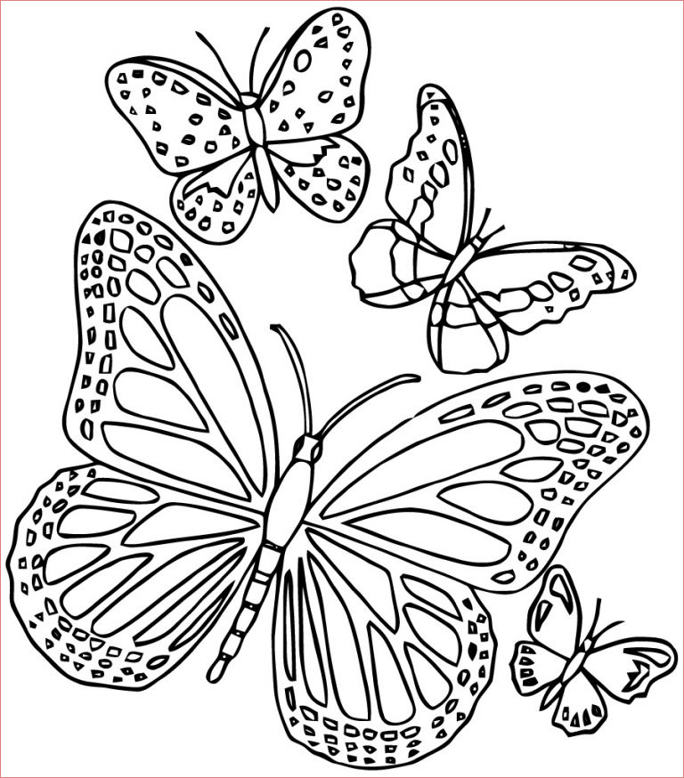 coloriage papillon difficile beau stock mandalas papillon 18 mandalas coloriages a imprimer