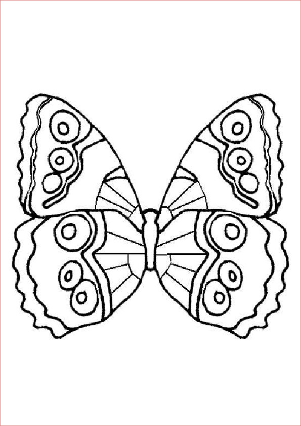 papillon difficile 9