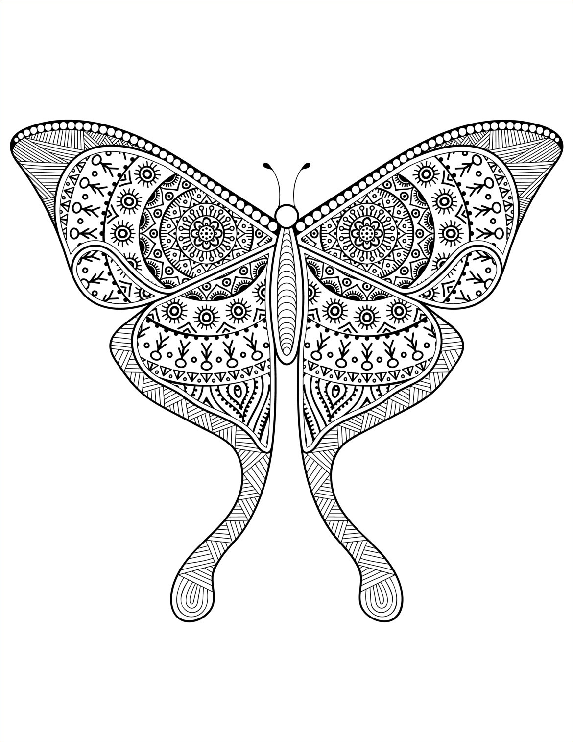 dessin adulte delicat papillon a imprimer difficile
