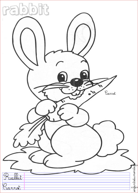5 coloriage lapin 1