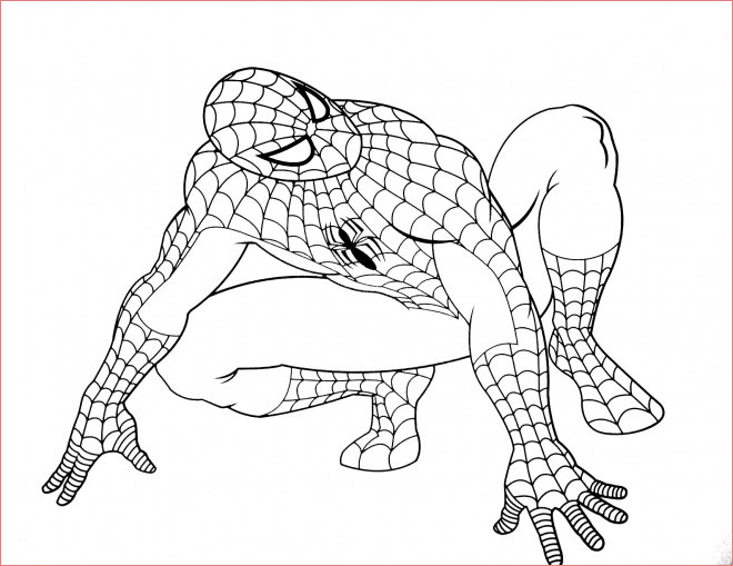 spiderman facile stylise