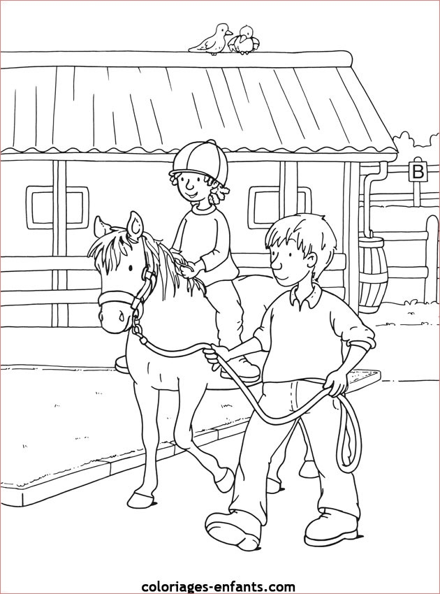 dessin d equitation