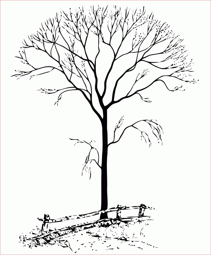 bare tree coloring page
