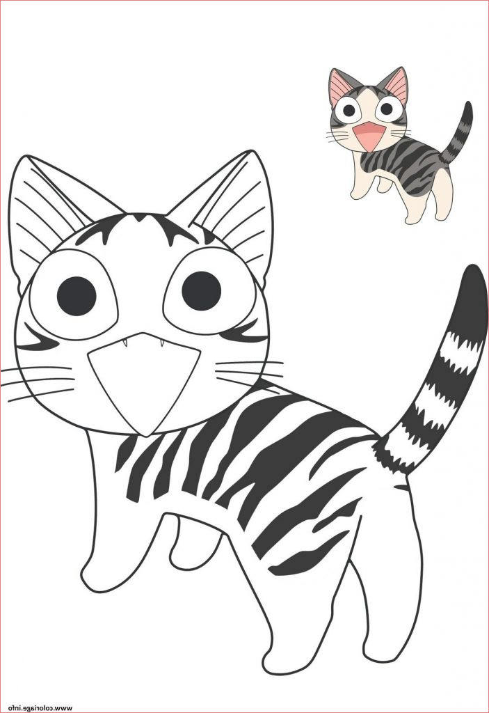 dessin chat beau stock coloriage chat chi vie de chat dessin