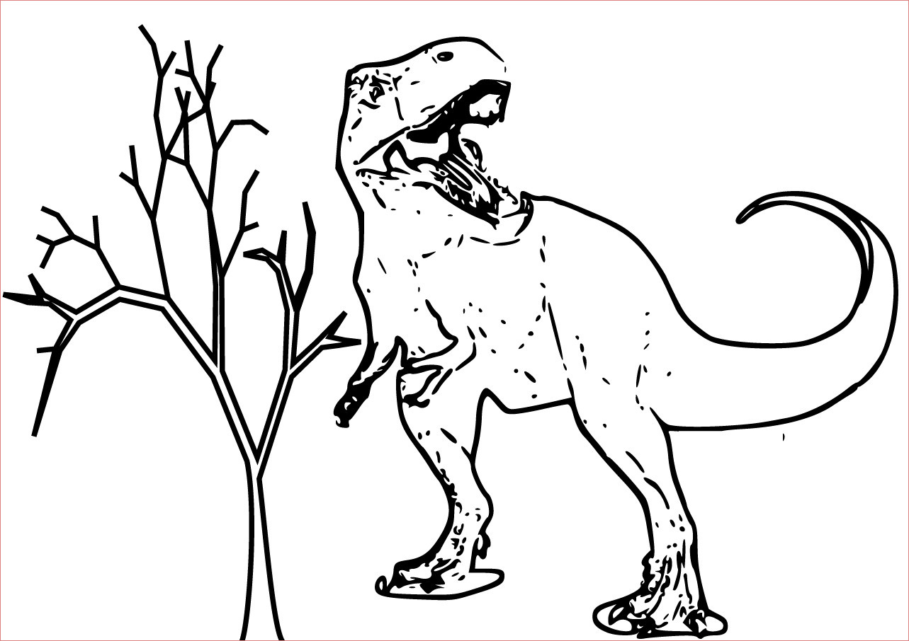 inspiration coloriage tyrannosaure