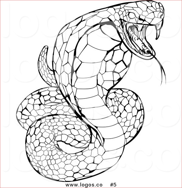 scary king cobra pages sketch templates