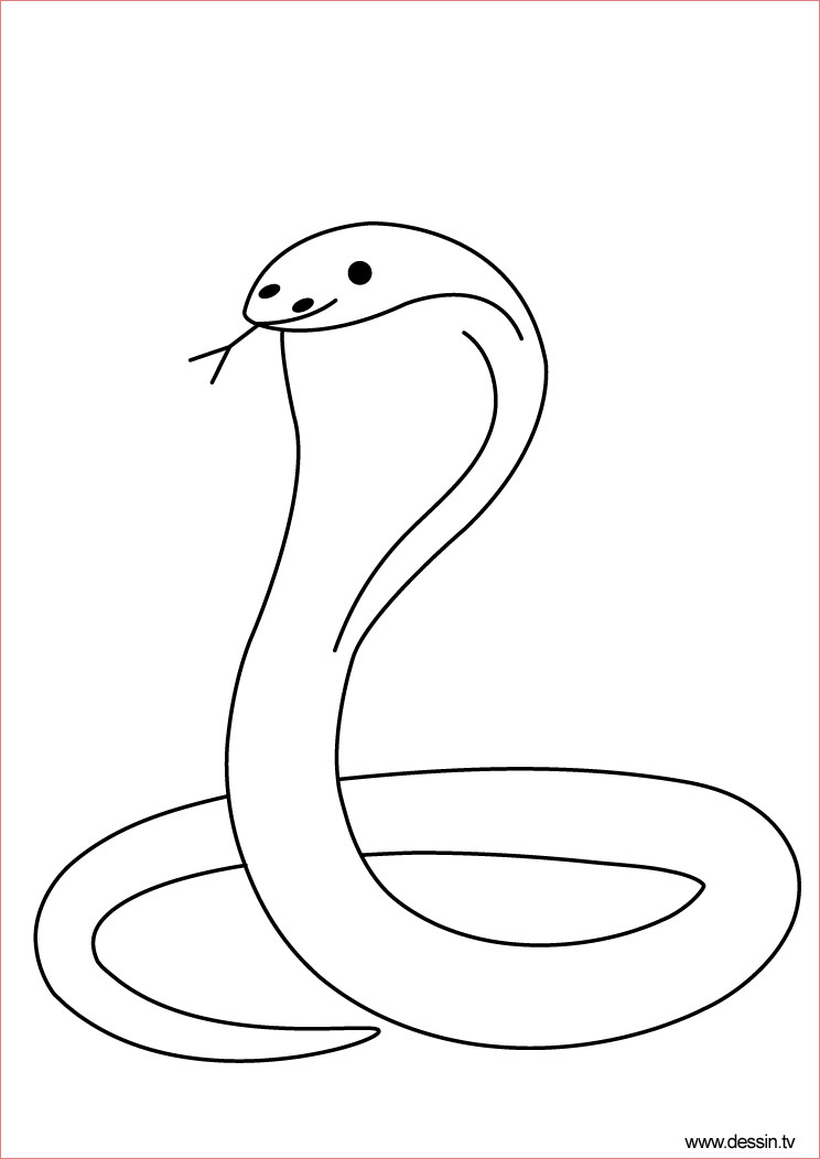 coloriage cobra