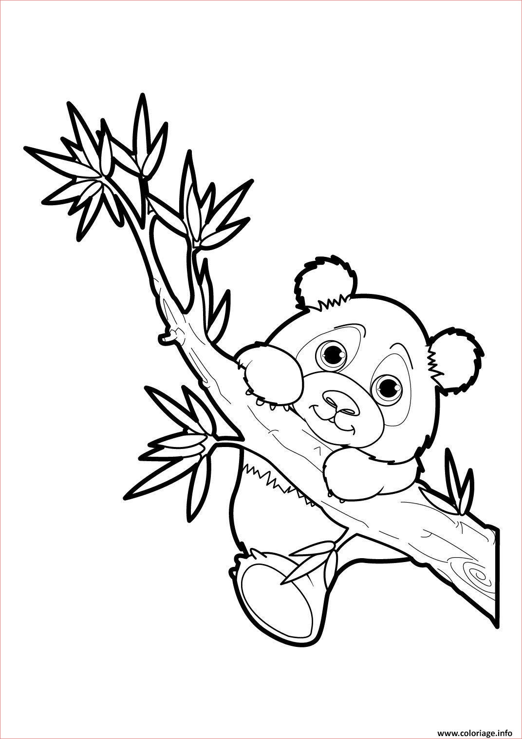 panda 17 coloriage dessin