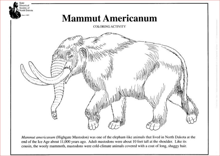 coloriage mammouth americain i7956