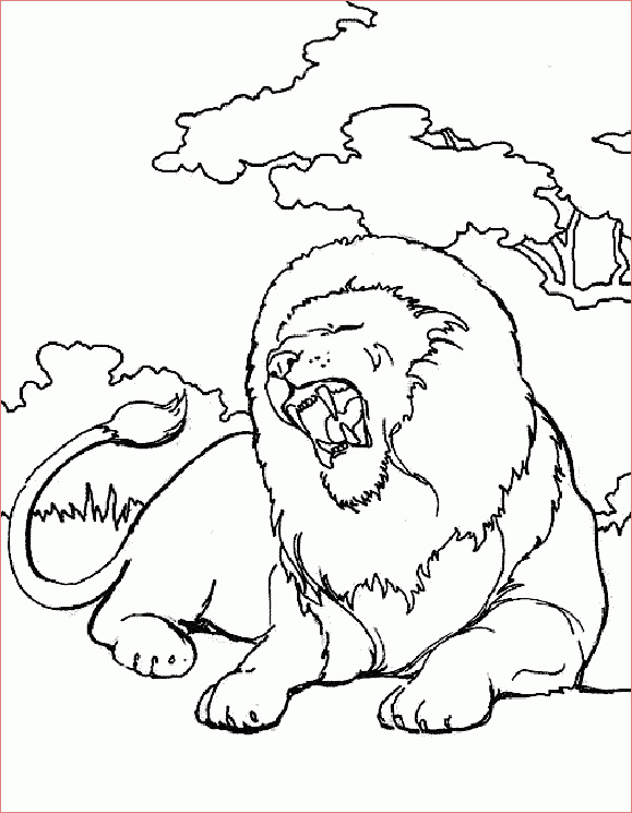 coloriage lion lionne et lionceau lion 2 dedans lionceau dessin