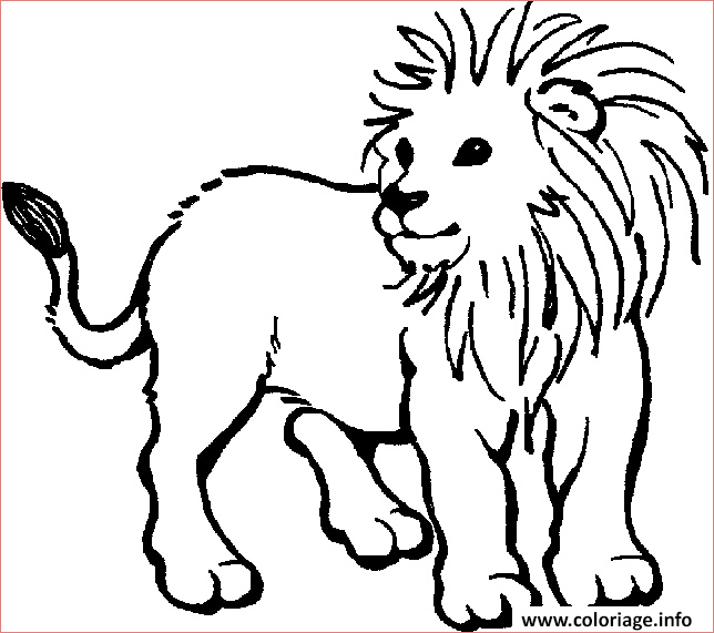 dessin d un lionceau coloriage