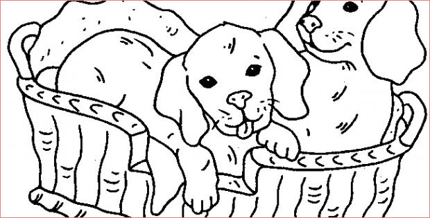 chien et chat dessin impressionnant photos coloriages a imprimer chien numero