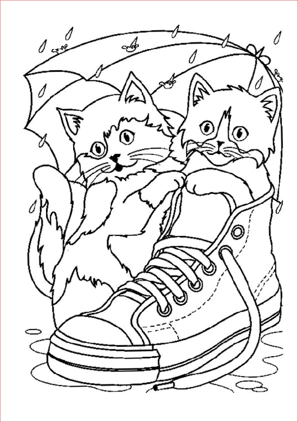 image=kids animals coloring two cute cats in a shoe 2