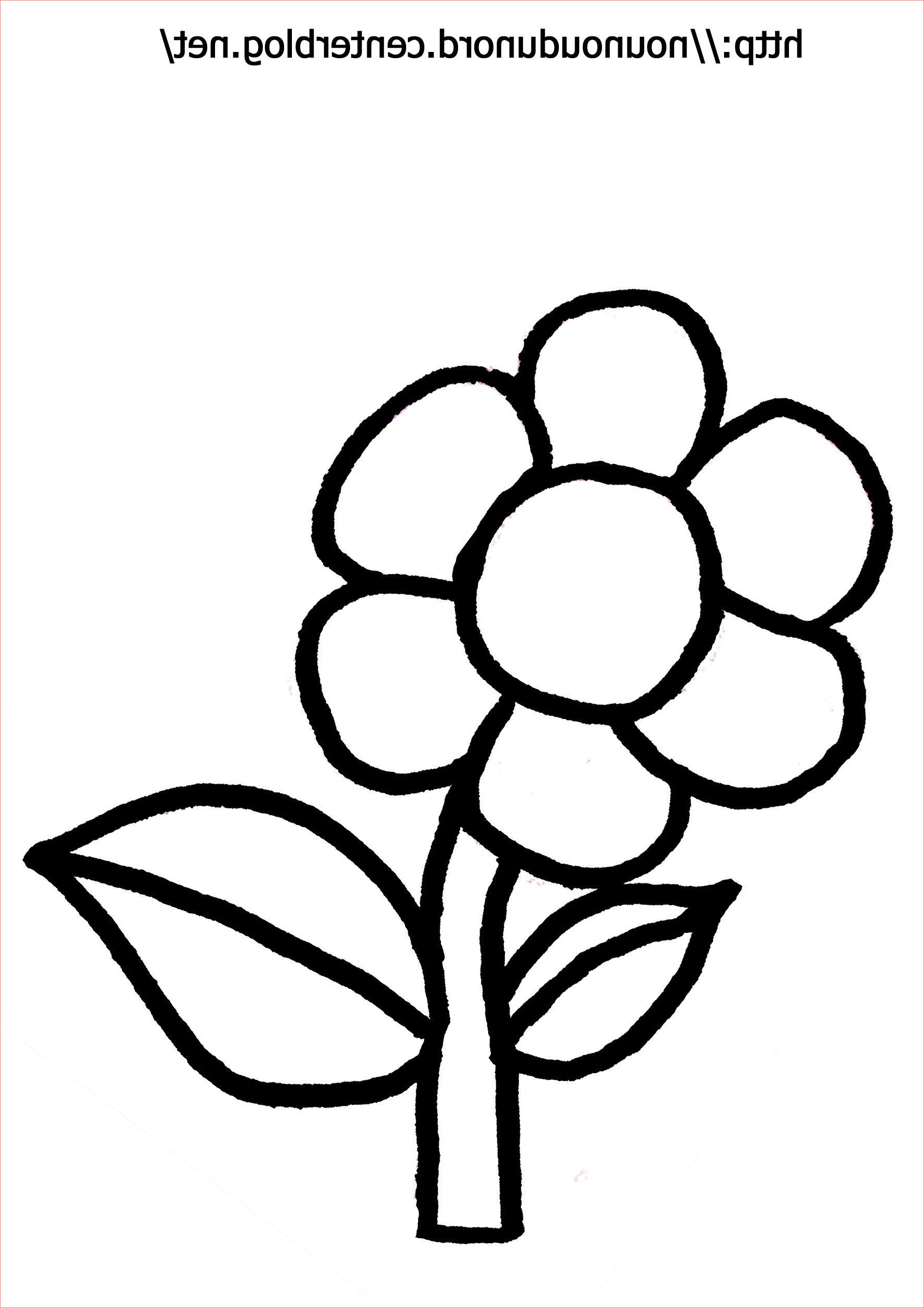 dessin fleur simple beau image coloriage fleurs nature page 3