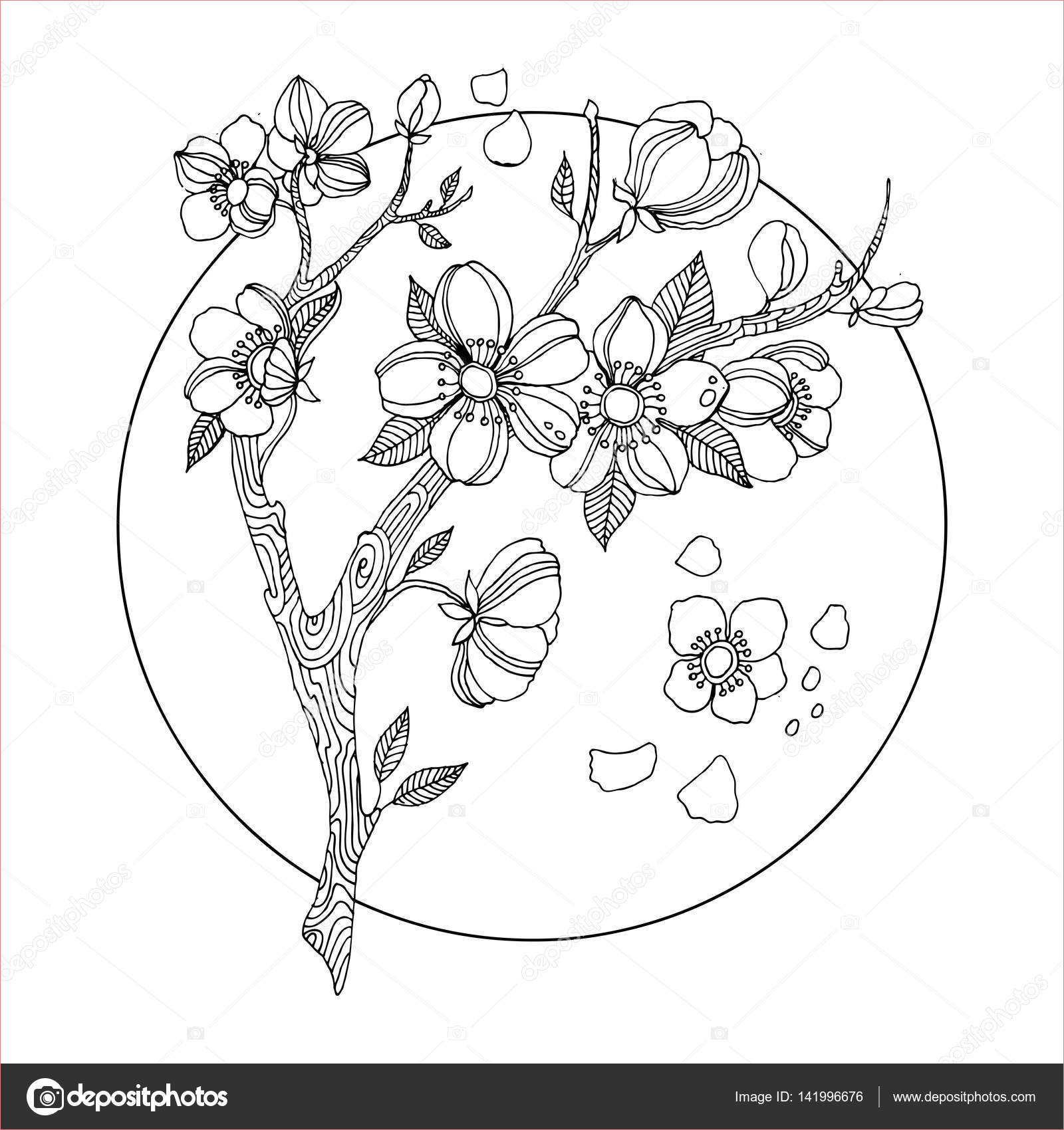 stock illustration cherry blossom coloring book vector