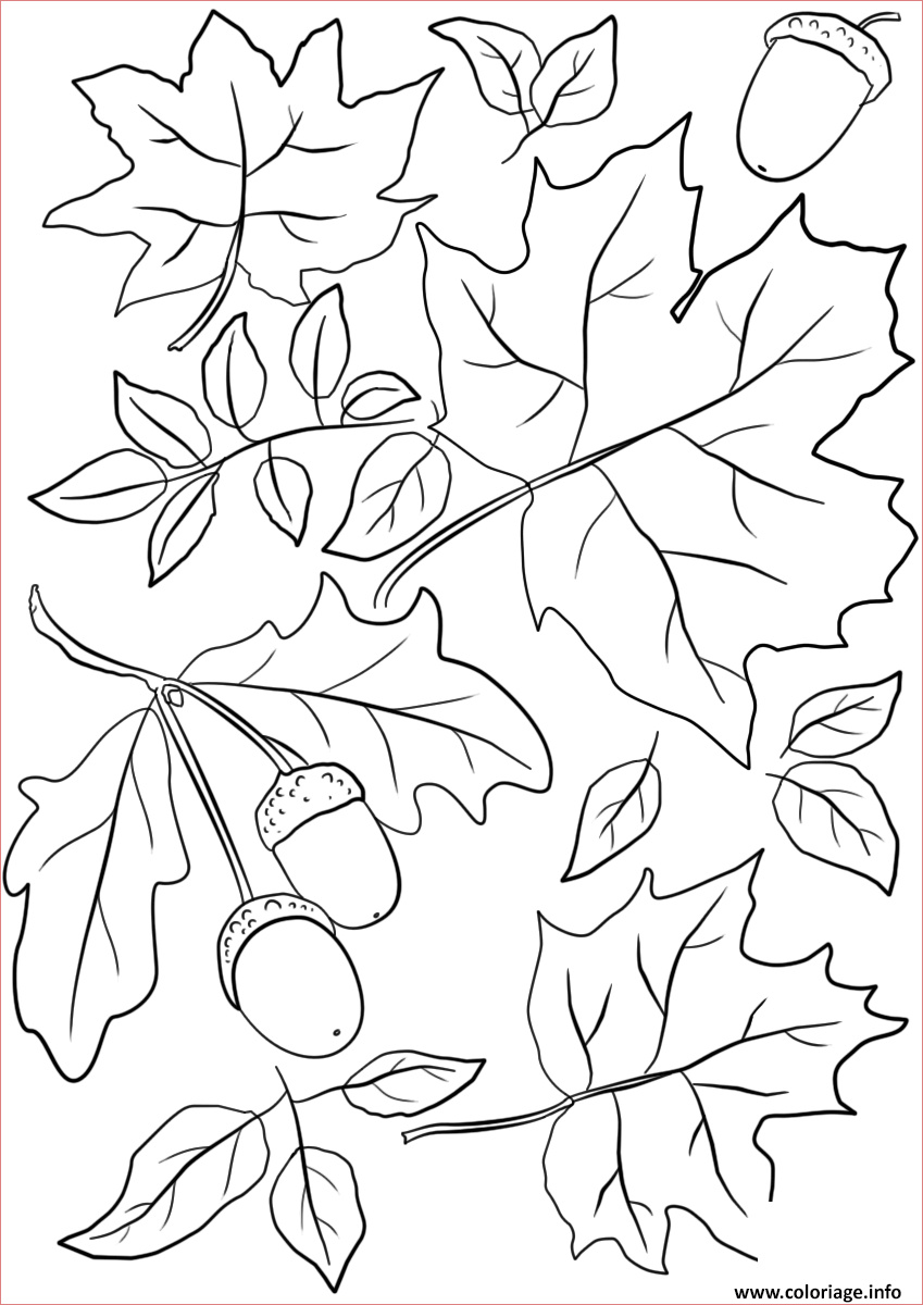 automne feuilles and acorns fall coloriage