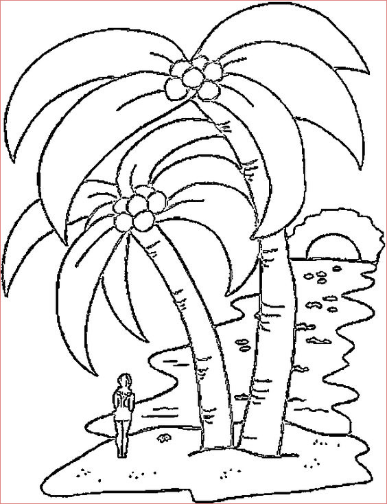 coloring coloring page palm tahiti sketch templates