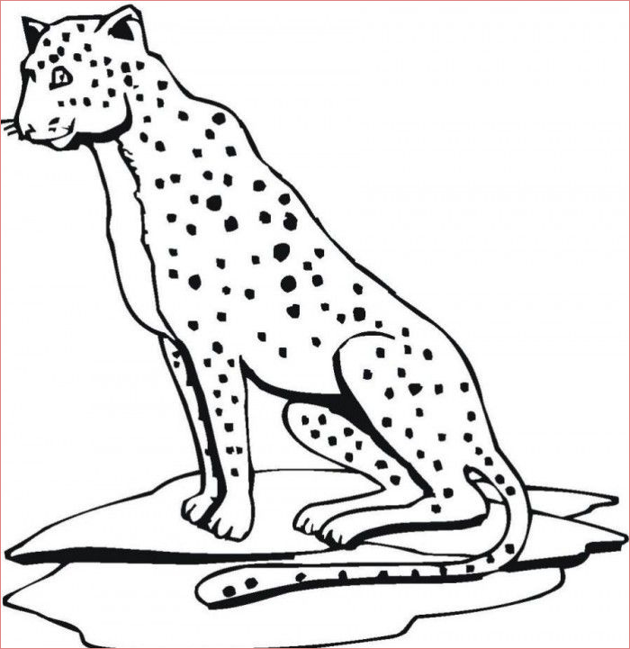 jaguar coloring pages for kids