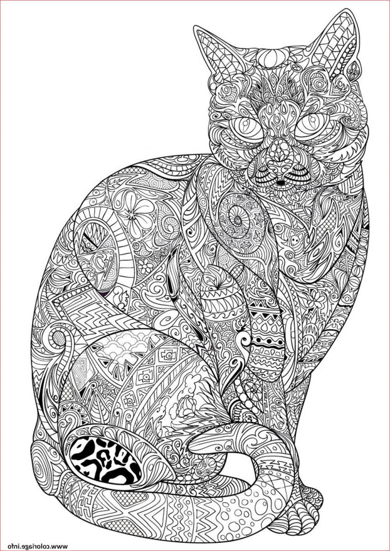 dessin difficile a colorier impressionnant stock coloriage chat adulte difficile antistress animaux dessin