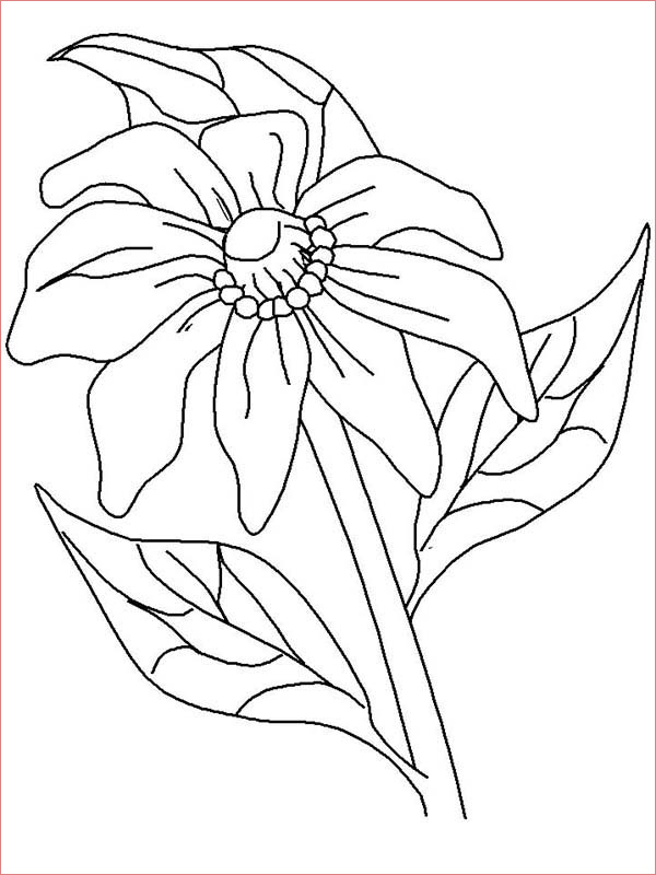 kids drawing of california poppy coloring page