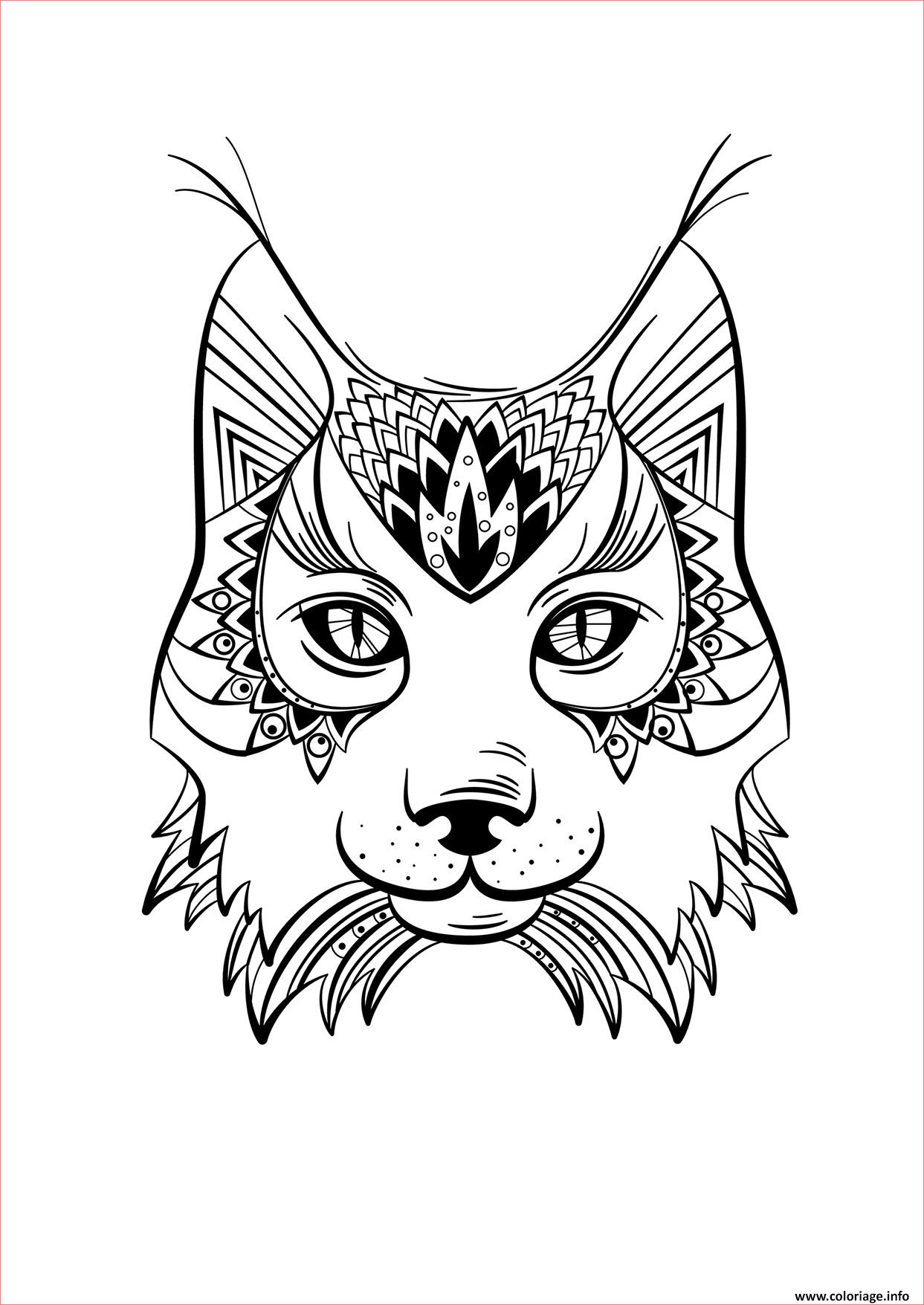 lynx animal adulte mandala coloriage