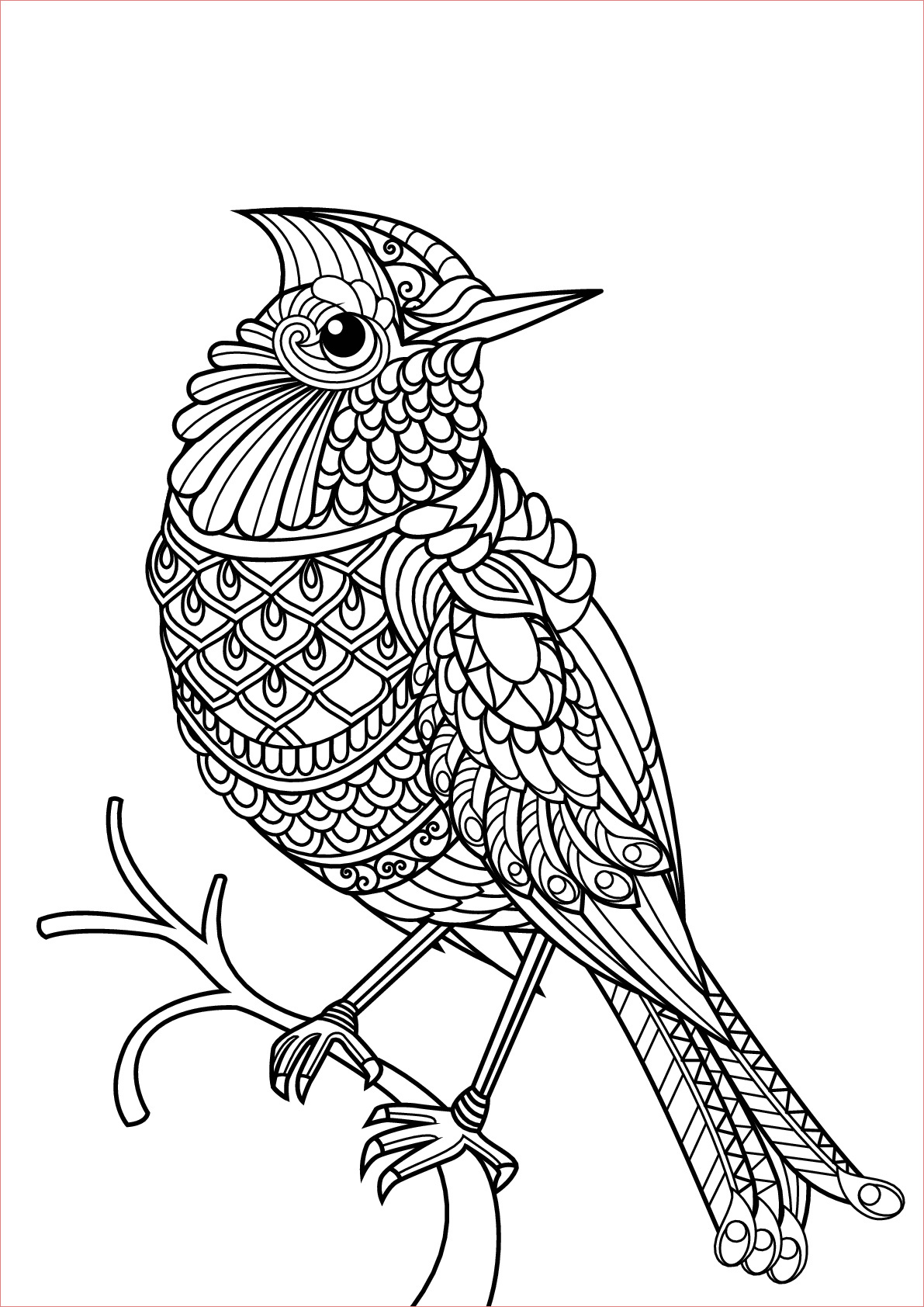 image=oiseaux coloriage livre gratuit oiseau 1