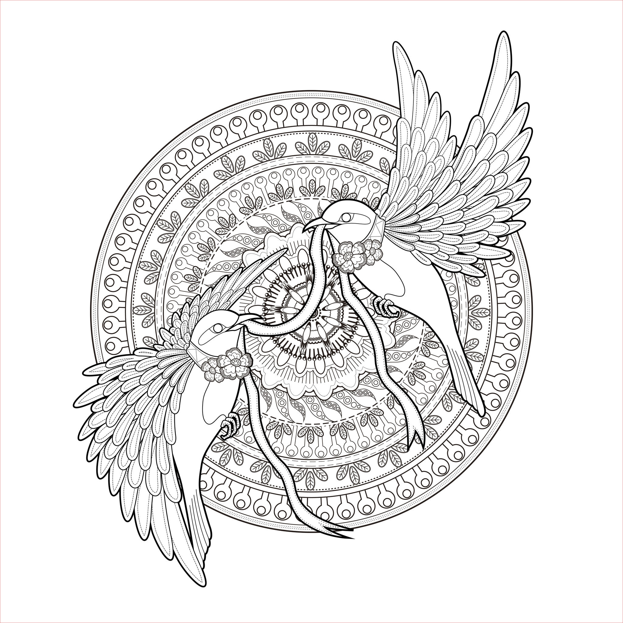 image=oiseaux coloriage adulte mandala deux hirondelles et un ruban par kchung 1