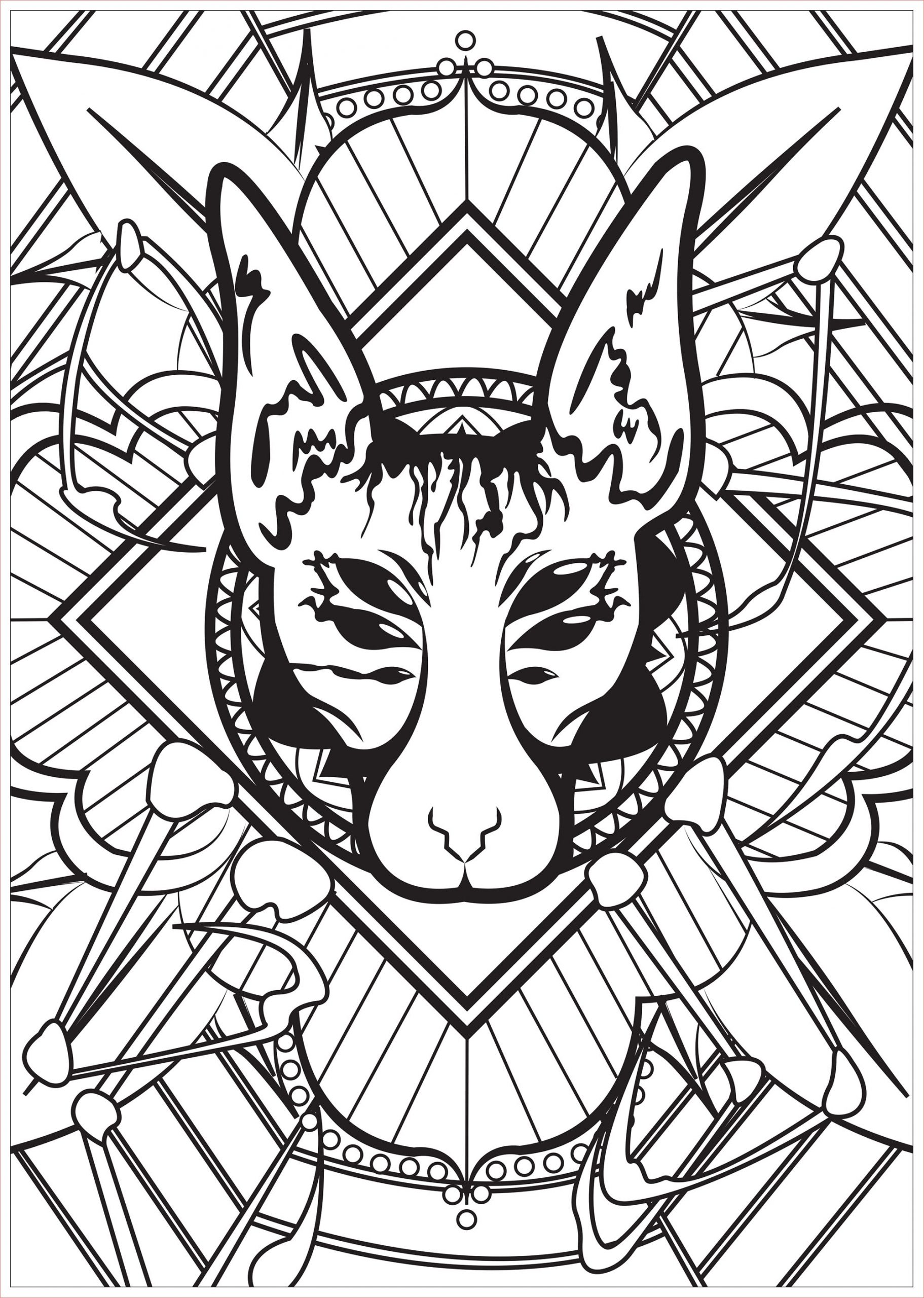 image=chats coloriage chat araignee 1