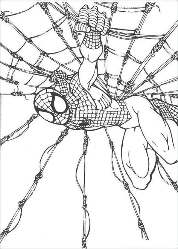 Coloriage Spiderman 11