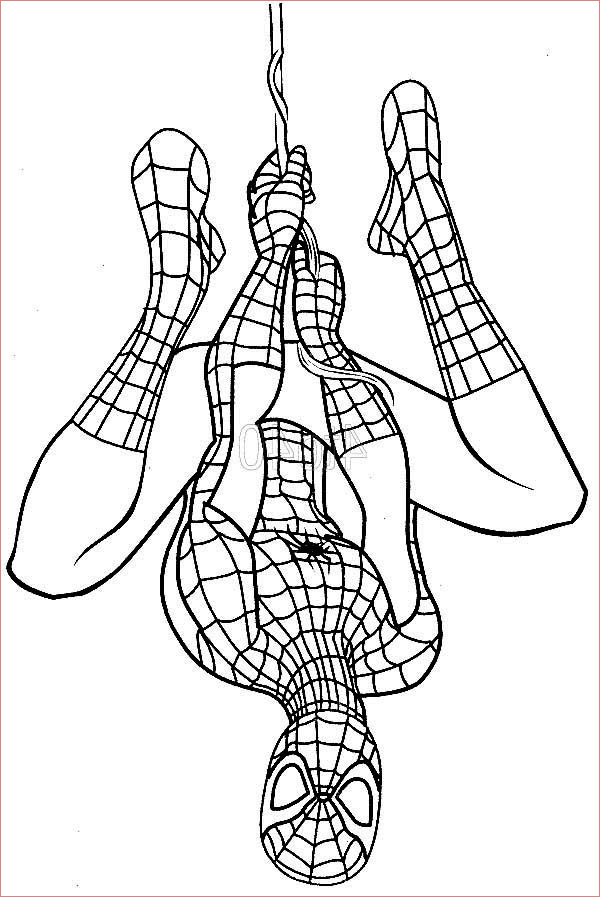 spiderman hanging upside down coloring page 2