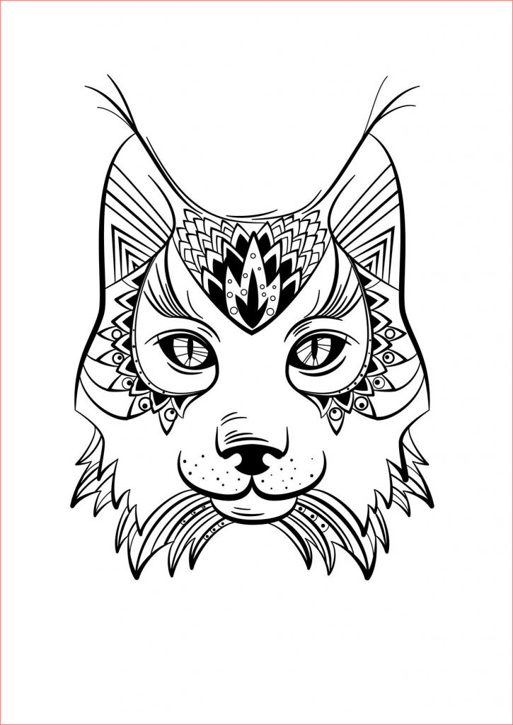 dessin chat mandala elegant photos coloriage animaux lynx coloring