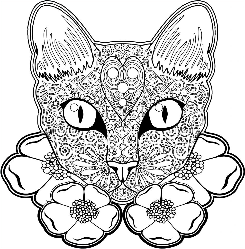 coloriage mandala chat nouveau collection epingle par magali caron sur coloriage mandala chat