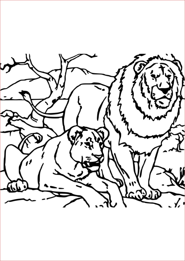 coloriage les animaux sauvages