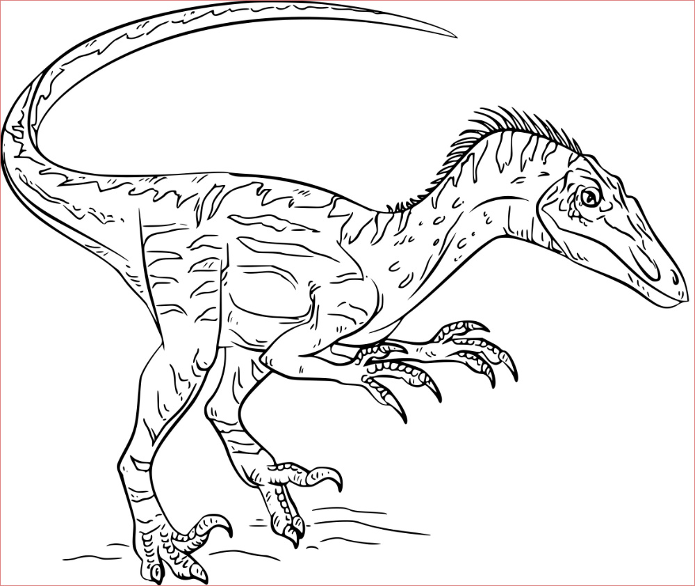 coloriage spinosaurus telechargez ou imprimez gratuitement